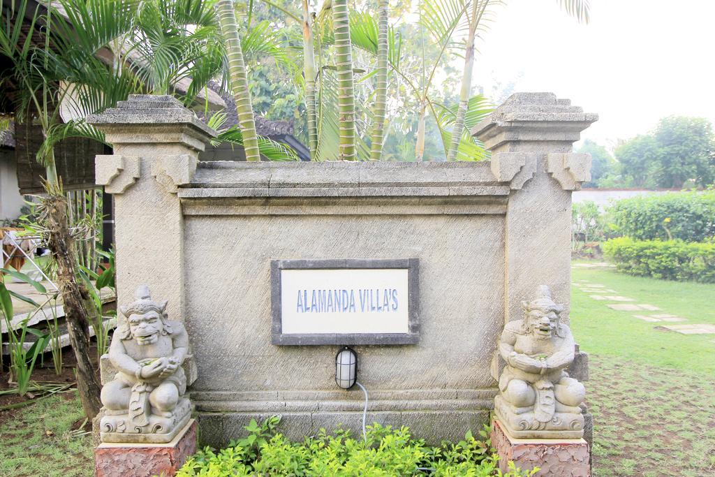 Alamanda Bingin أُلُواتو المظهر الخارجي الصورة
